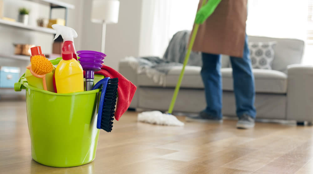 Services & Cleaning