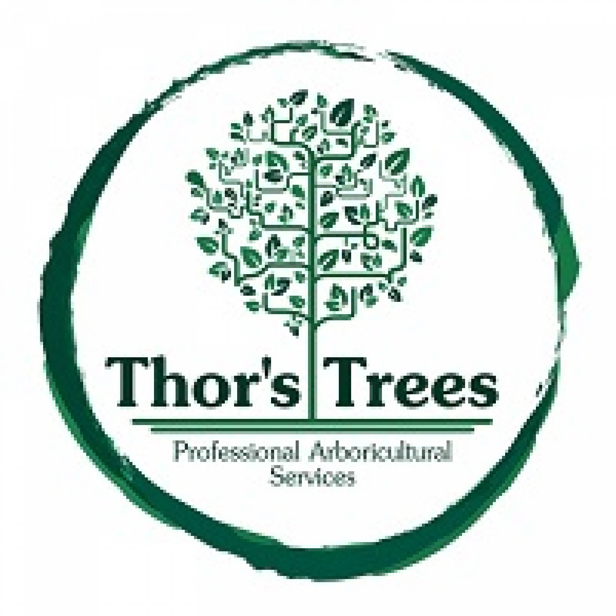 Thor's Trees