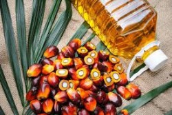 PALM OIL DISTRIBUTOR & EXPORTER