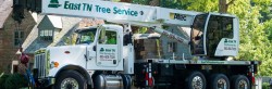 East TN Tree Service Inc.