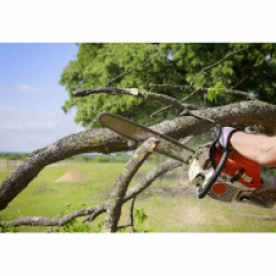 Fellers Tree Service 