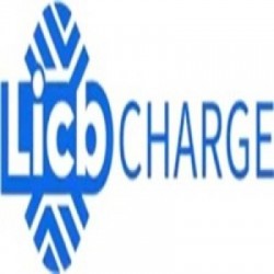 China LiCB AC DC EV Charger Co., Ltd