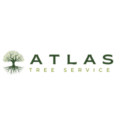 Atlas Tree Service | Austin