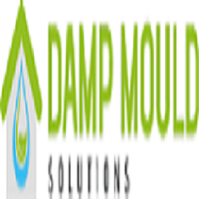 Damp and Mould Solutions