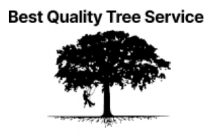 Best Quality Tree Service