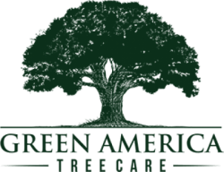 Green America Tree Care