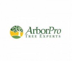 ArborPro Tree Experts