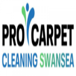 Pro Carpet Cleaning Swansea